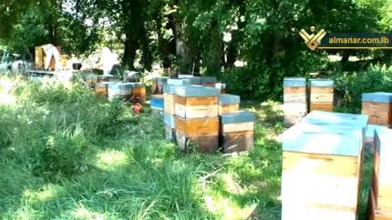 خيرات الأرض - تربية النحل