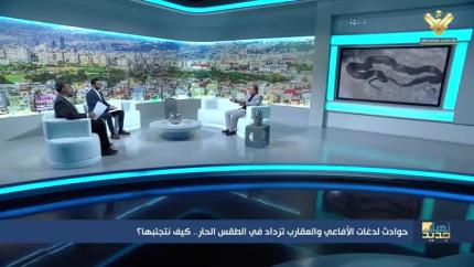 حوادث لدغات الأفاعي والعقارب تزداد في الطقس الحار.. كيف نتجنبها؟