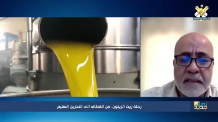 رحلة زيت الزيتون من القطاف الى التخزين السليم